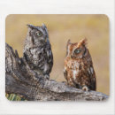 Search for screech mouse mats Birds of prey