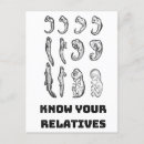 Search for biology teachers postcards Geek