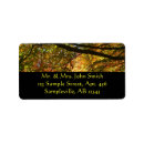 Search for canopy Fall