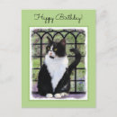 Search for tuxedo postcards Kitten