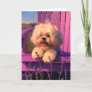Search for smiling puppy cards Canine