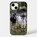 Search for billy goat Farm animals