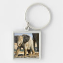 Search for elephant trunks key rings Baby