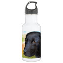 Search for black labrador water bottles Animal