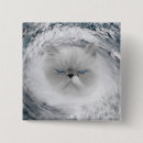 Search for angry badges Kitty