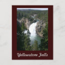 Search for yellowstone postcards Souvenir