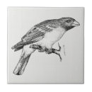 Search for bird drawing tiles Design