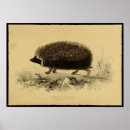 Search for drawing kids posters Africa