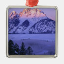 Search for grand teton national park christmas tree decorations Landscape