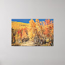 Search for landscape canvas prints Woods