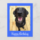 Search for black labrador retriever birthday cards Puppy