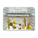 Search for snacking magnets Refrigerator