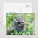 Search for humorous postcards Photography