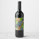 Search for grapes wine labels Fruit
