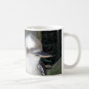 Search for kookaburras mugs Animal