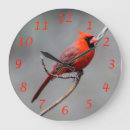 Search for birdwatcher art Birding