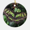 Search for macro christmas tree decorations Insect