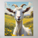 Search for buttercups posters Cute