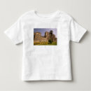 Search for bosphorus tshirts Architecture