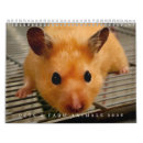 Search for goat calendars Pets
