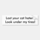Search for haters bumper stickers Cats