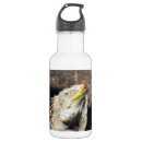 Search for lizard water bottles Iguana