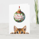 Search for animal lovers card christmas cards Kitten