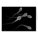 Search for reproductive system Grey
