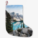 Search for blue grey christmas stockings Nature