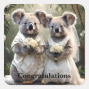 Search for australian koala bear stickers Wildlife