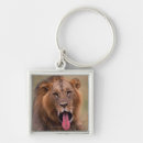 Search for two animals key rings Africa