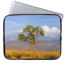 Search for big tree cases Landscape