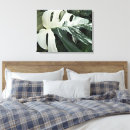 Search for monstera plant canvas prints Botanical