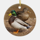 Search for duck hunter christmas tree decorations Ducks
