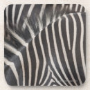 Search for kenya coasters Horizontal