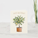 Search for lemon tree cards Fruit