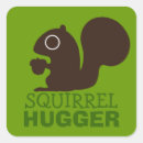 Search for cute squirrel stickers Animals