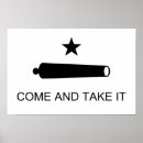 Search for texas flag posters United states