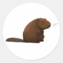 Search for beavers stickers Cute