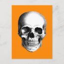 Search for human skulls postcards Bones