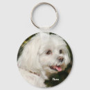 Search for maltese dog key rings Pet