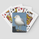 Search for water playing cards Bird