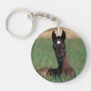 Search for arabs key rings Equestrian