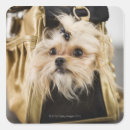 Search for loyalty square stickers Vertical