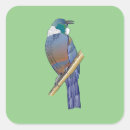 Search for new zealand bird stickers Aotearoa