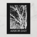 Search for vectors postcards Tree