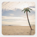 Search for coney stickers Usa