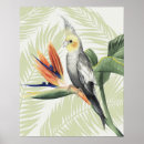 Search for black bird posters Floral