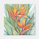 Search for tropical square magnets Botanical