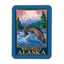 Search for wrangell magnets Fly